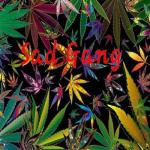 SADMG PRODUCTIONS