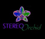 Stereo Orchid