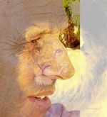 Klaus Sander