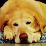 You Have It All instr softer mix by Warren Hein